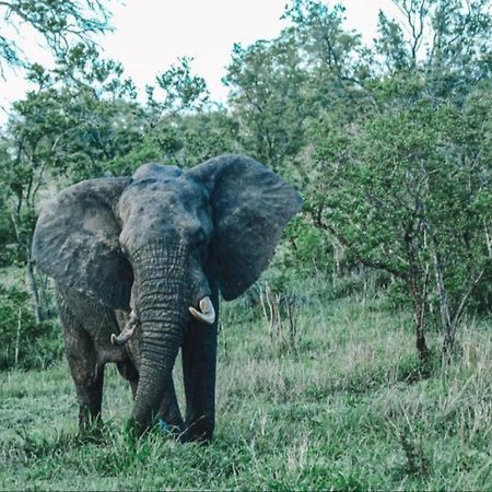 Honeyguide Tented Safari Camps - Mantobeni Заповедник Маньелети Экстерьер фото